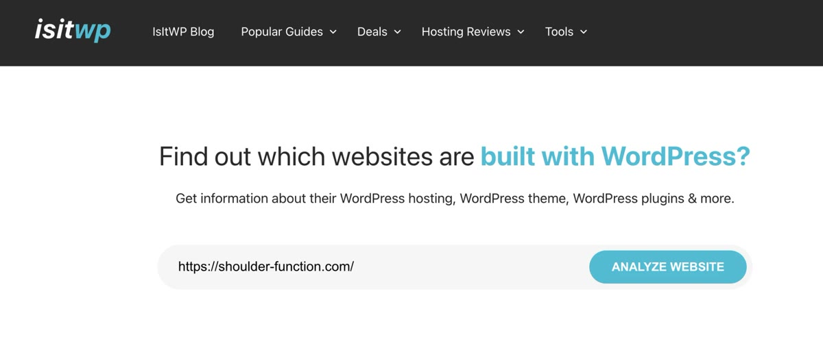 IsItWPのトップ画面。入力欄にホームページのアドレスを入れ、ANALYZE WEBSITEボタンを押す